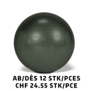 Ballon Gymnic + BRQ Ø65cm Anthracite dès 12 pièces