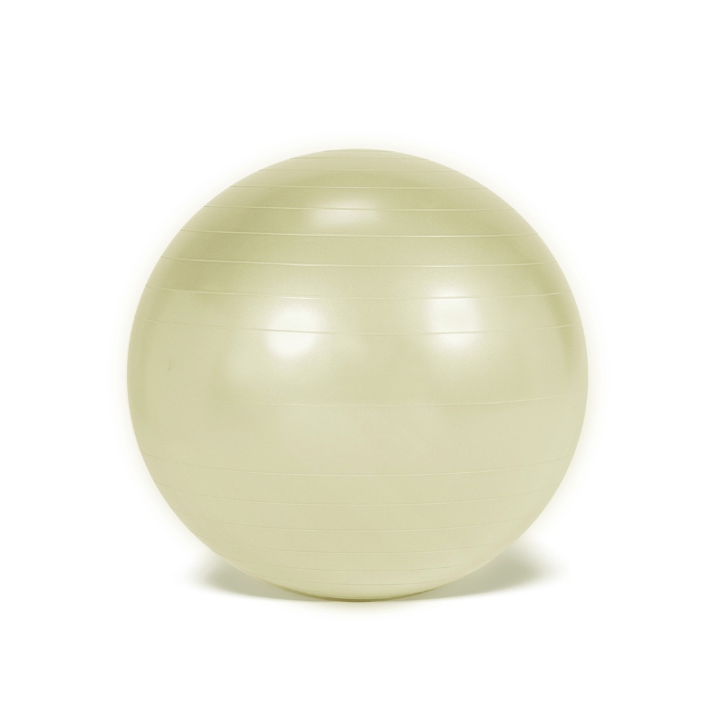 Ballon Gymnic Plus BRQ Ø55 cm