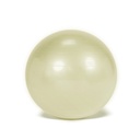 Gymnastikball Gymnic Plus BRQ Ø55 cm