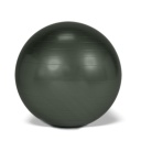 Gymnastikball Gymnic Plus BRQ Ø 65 cm 