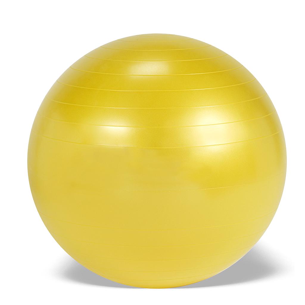 Ballon Gymnic Plus BRQ Ø75 cm