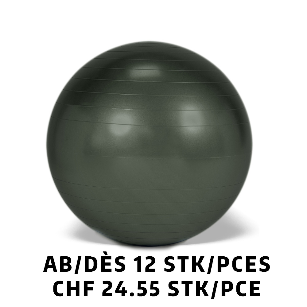 Ballon Gymnic+ BRQ Ø65cm noir dès 12 pièces
