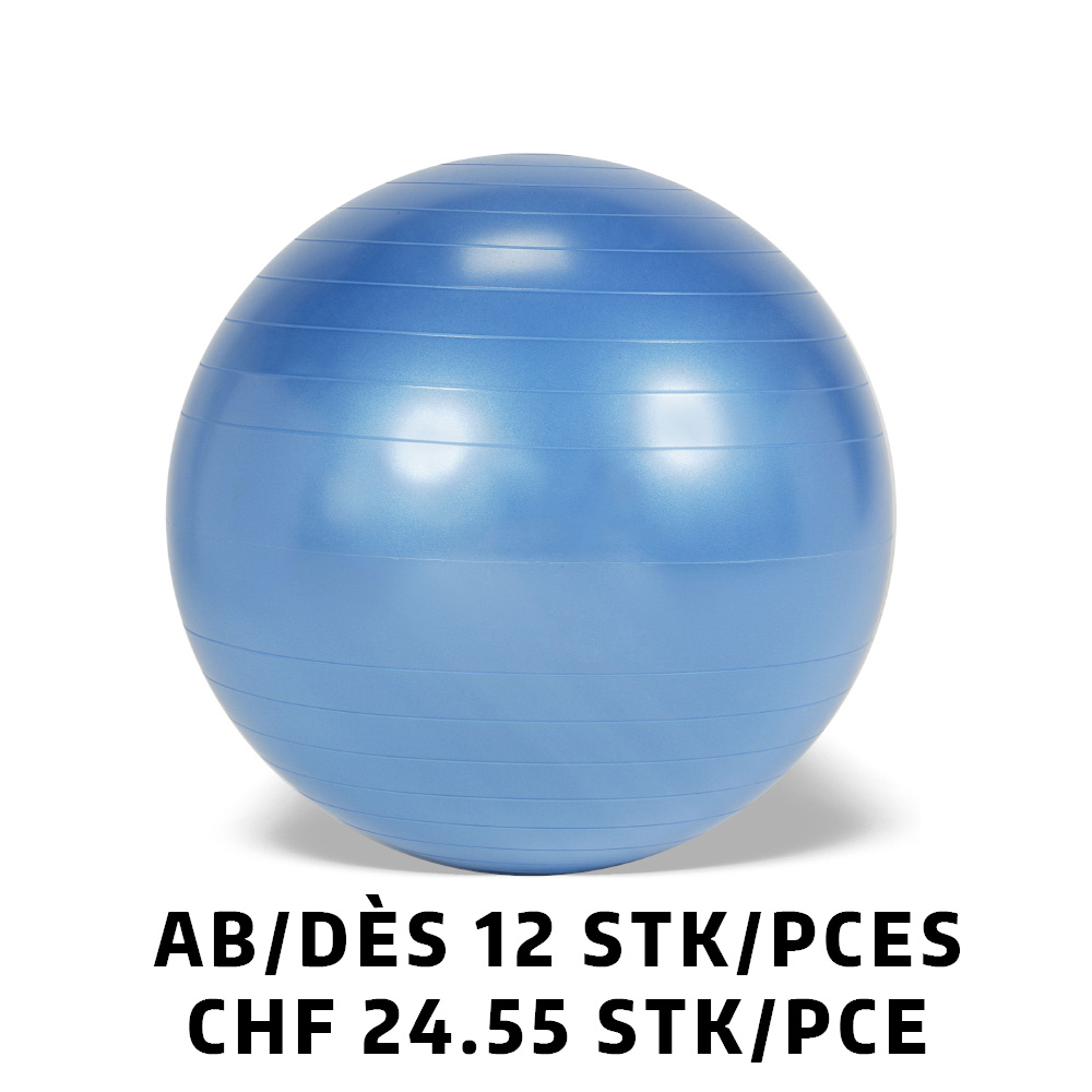 Ballon Gymnic+ BRQ Ø65cm bleu dès 12 pièces