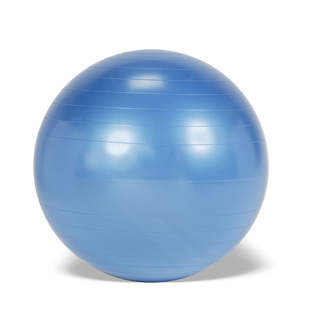 Ball Gymnic Plus Ø65cm Purple (2nd hand) 