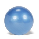 Gymnic Plus Ball Ø65cm blau  (Ausstellungsmodell)