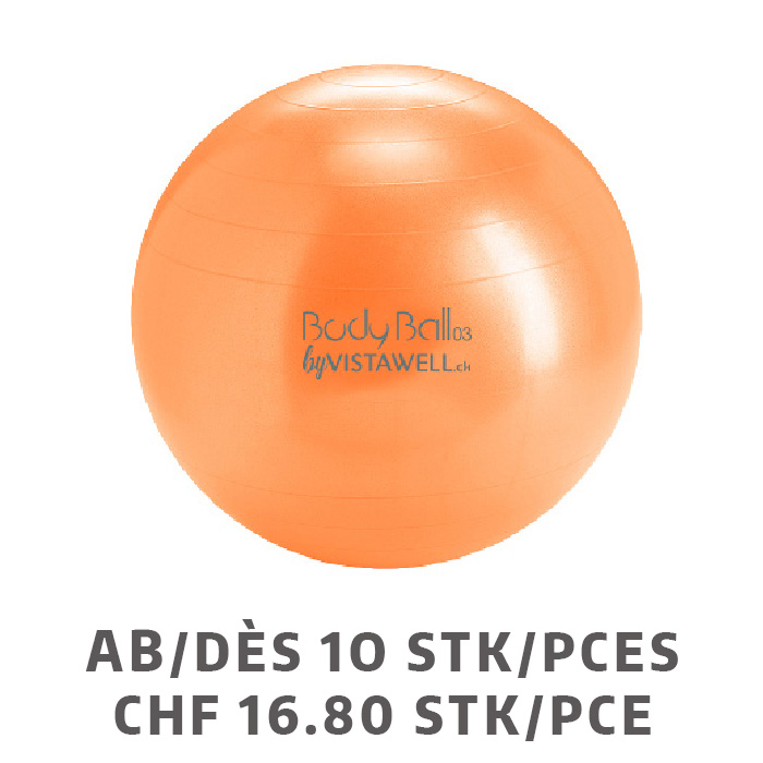 BodyBall Ø42cm dès 10 pièces