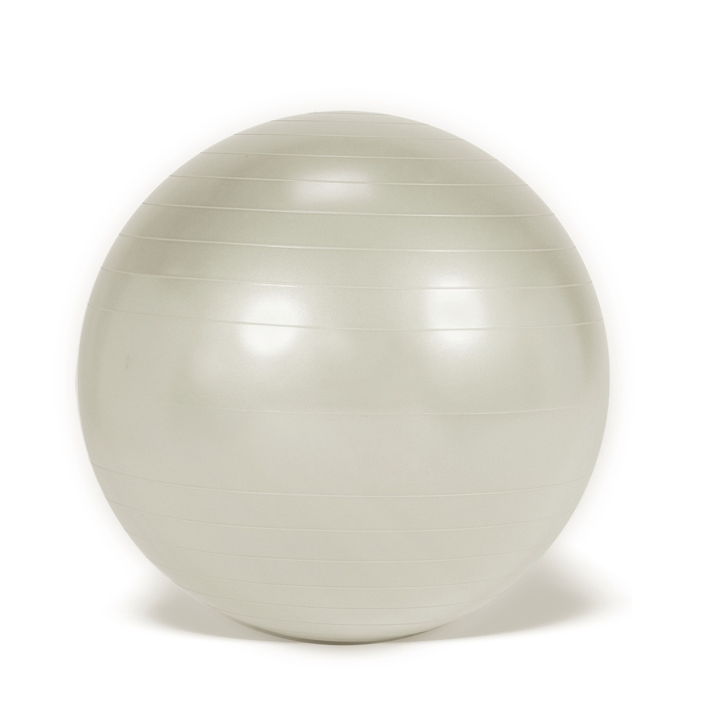Fitball Plus BRQ Ø 65 cm