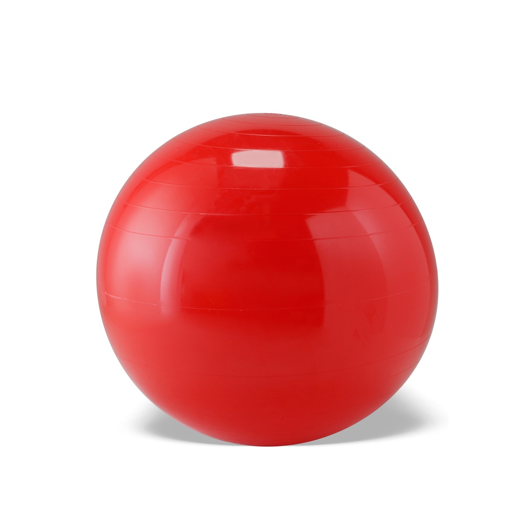 Ballon de gymnastique Classic Gymnic®  Ø55cm rouge (modèle Expo)