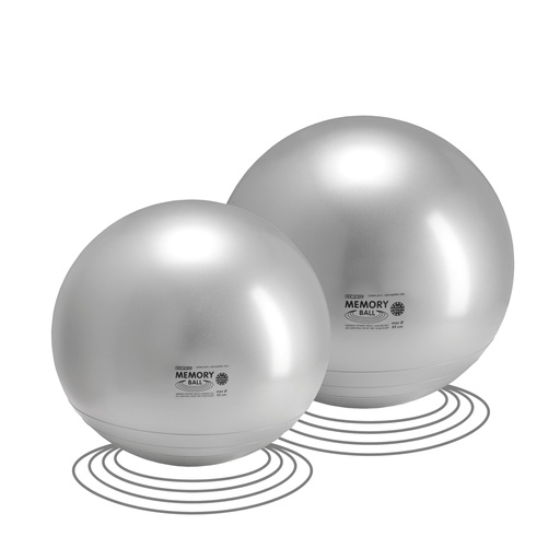 Ballon de gym Plus - Physiothérapie et exercices ciblés - Résistance  jusqu'à 120 kg - Gymnic - 65 cm - Ballons - Robé vente matériel médical