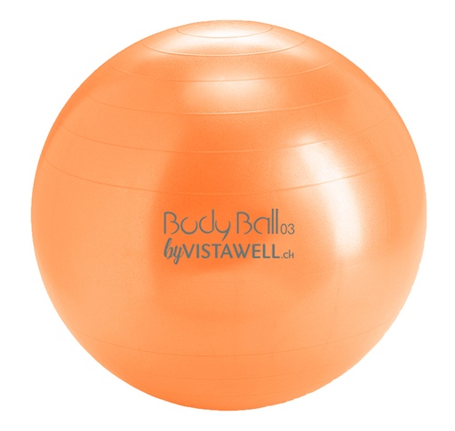[2516] Balance Ball Ø42cm