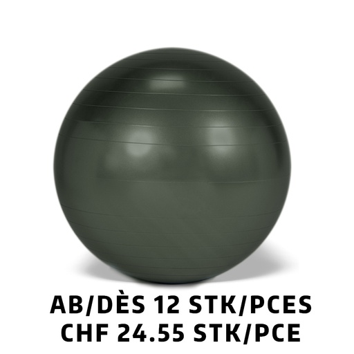 [Set95.43] Gymnastikball Gymnic Plus BRQ Ø65cm Anthrazit ab 12 Stück
