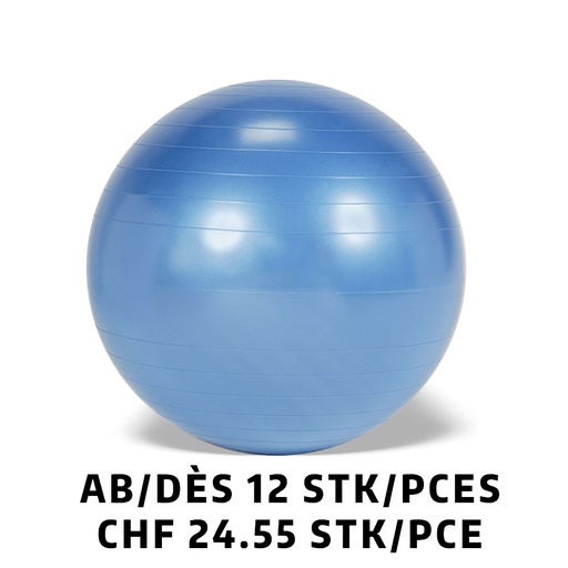 [Set95.29] Ballon Gymnic+ BRQ Ø65cm bleu dès 12 pièces