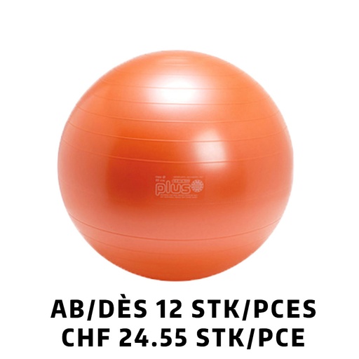 [Set95.25] Ballon Gymnic+ BRQ Ø65cm orange dès 12 pièces