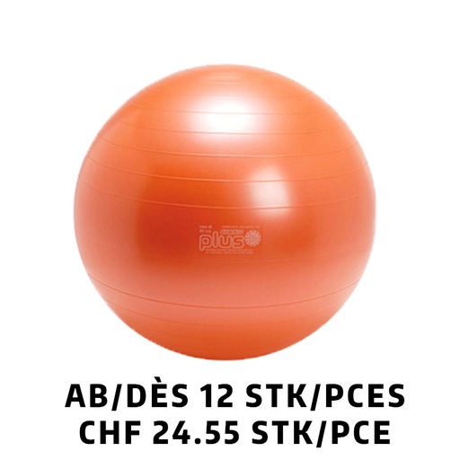 [Set95.25] Ballon de gymnastique Gymnic plus BRQ Ø65cm orange dès 12 pièces