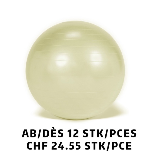 [Set95.06] Ballon Gymnic+ BRQ Ø65cm Perla dès 12 pièces