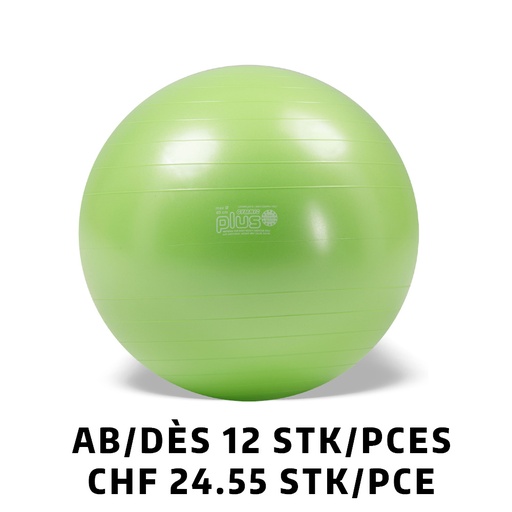 [Set95.40] Ballon Gymnic+ BRQ Ø65cm vert dès 12 pièces