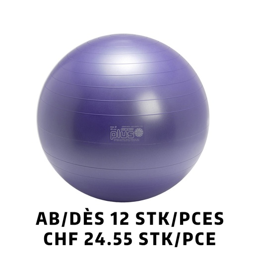 [Set95.26] Ballon Gymnic+ BRQ Ø65cm violet dès 12 pièces