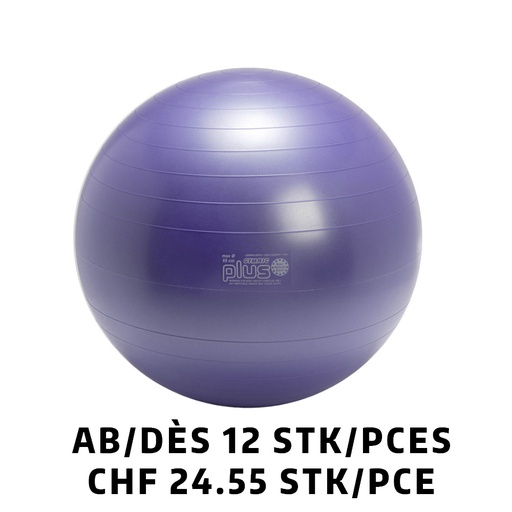 [Set95.26] Gymnastikball Gymnic Plus BRQ Ø65cm Purple ab 12 Stück
