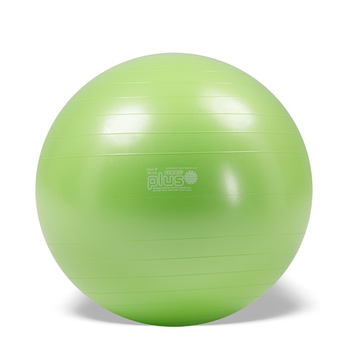 [SH95.40] Gymnic Plus Ball Ø65cm grün (Ausstellungsmodell)